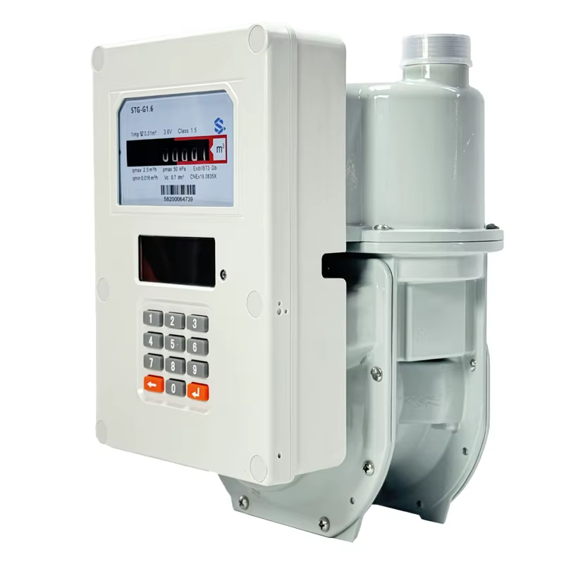 Gas Meter